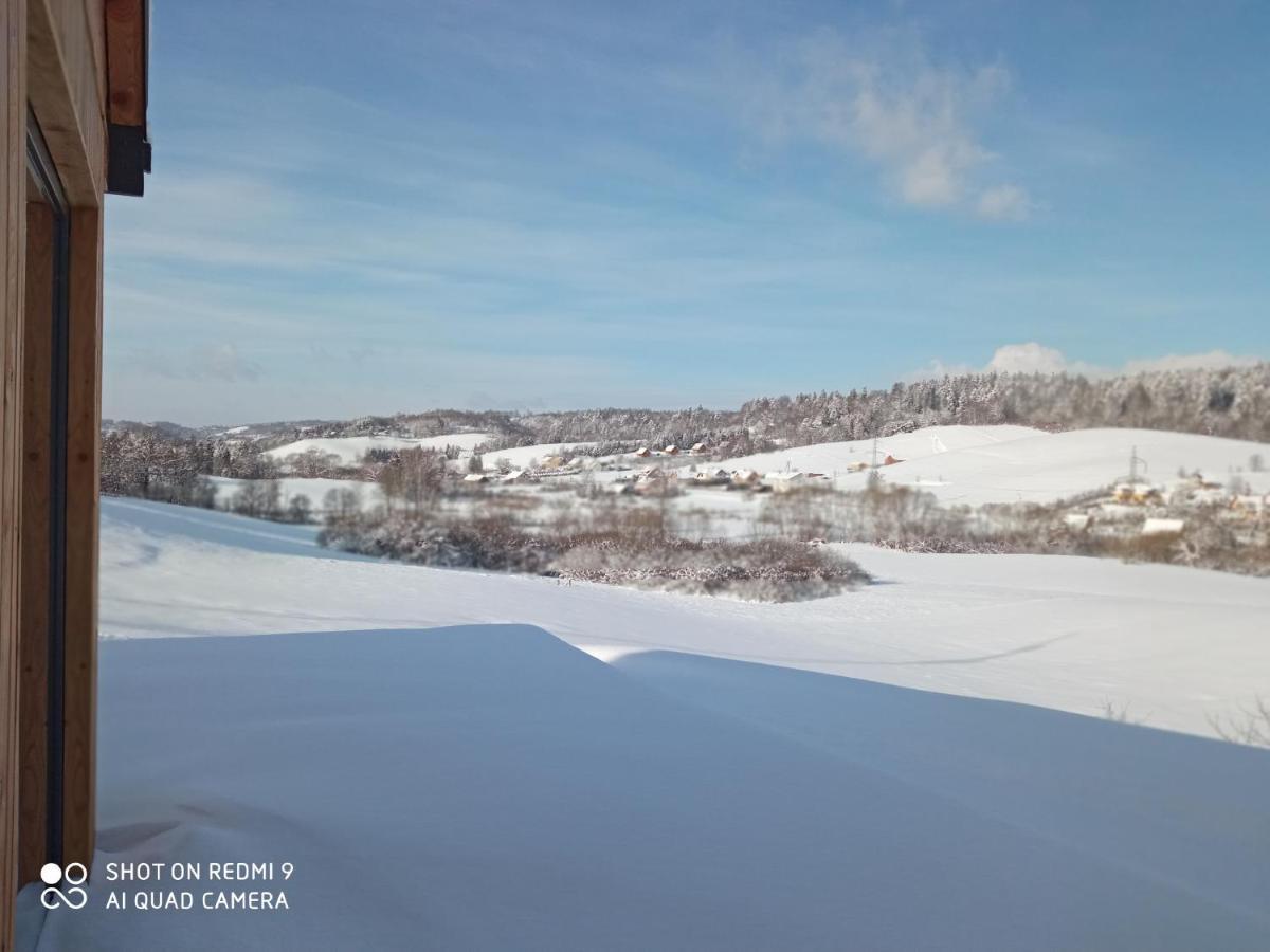 Domek Na Wzgorzu Villa Orelec Exteriör bild